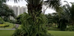 Blk 403C Fern Spring (Sengkang), HDB 4 Rooms #564157981